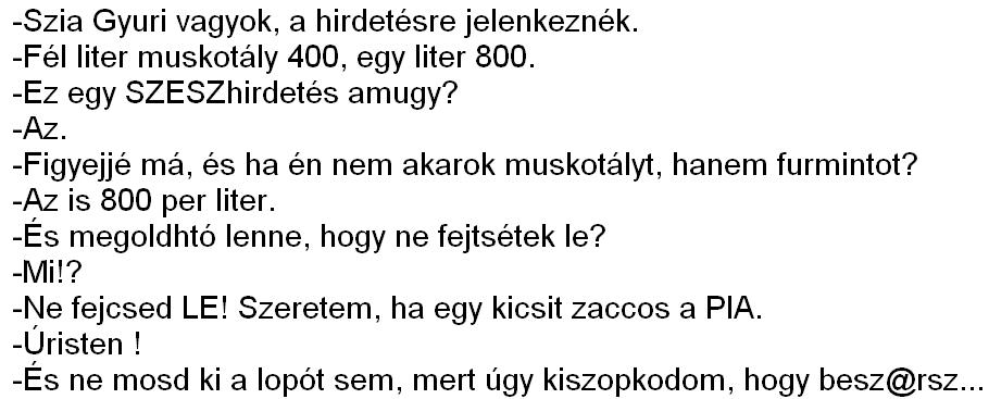 10. IB. osztly oldala